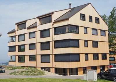 Vögelinsegg housing development, Speicher